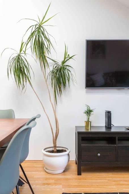 Apartamento Modern Colonial Style, Central, Rooftop, Bbq Viena